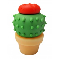 USB-stick Cactus 8GB