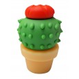 USB-stick Cactus 8GB